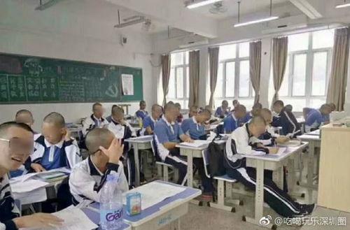 普宁职校爆料新闻视频,揭秘校园内幕  第3张